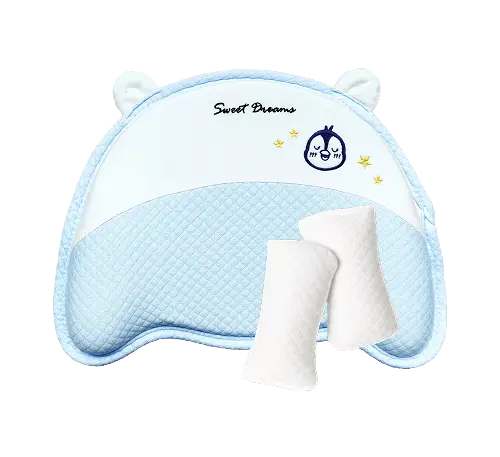 Blue Case + Baby Pillow