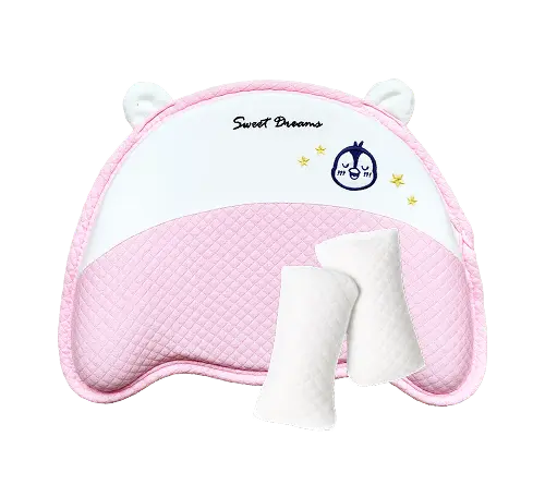 Pink Case + Baby Pillow